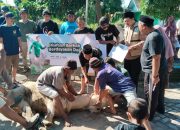 Warga Safira Berkurban, Gandeng BAZNAS Perluas Distribusi Manfaat