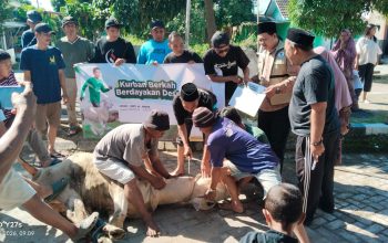 Warga Safira Berkurban, Gandeng BAZNAS Perluas Distribusi Manfaat